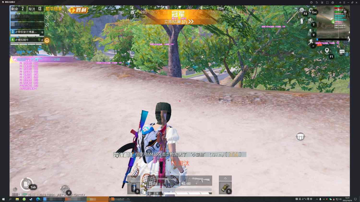 和平精英辅助软件的发展与影响分析